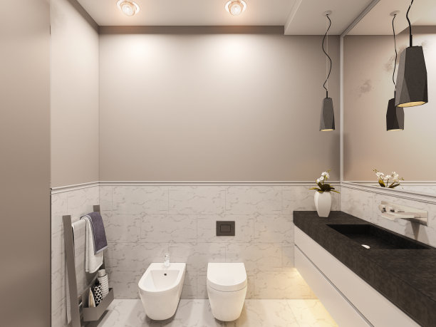 3D渲染，私人别墅卫生间内部。卫生间室内设计例证传统现代美式风格图片下载