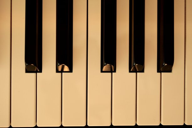 钢琴键盘图片下载