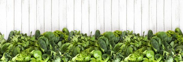 横幅。新鲜芳香的绿色混合香草在白色木质背景。罗勒，香菜，薄荷，菠菜，沙拉，芝麻菜。复制空间，平铺图片下载