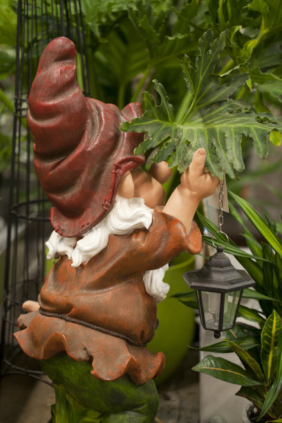 可爱的小矮人在花园里偷窥。图片下载