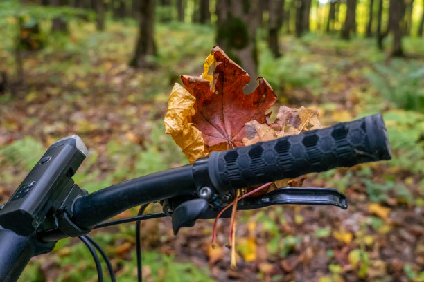 秋林里飞驰自行车的黑色车把上，红橙色的枫叶近在咫尺图片下载