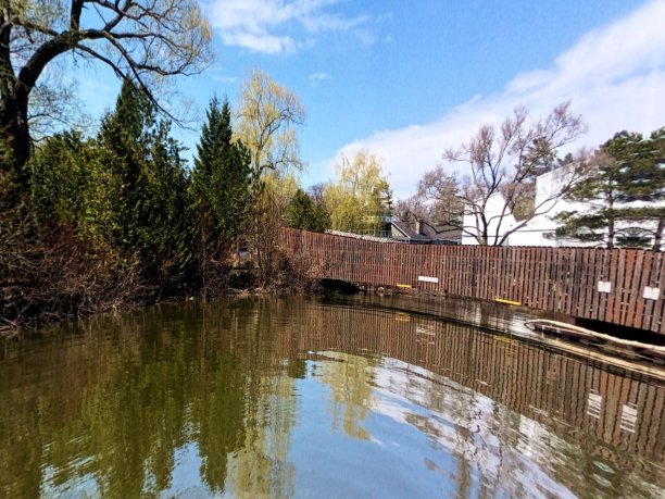 沉思的好日子图片下载