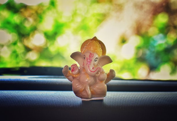 甘尼莎勋爵图片下载