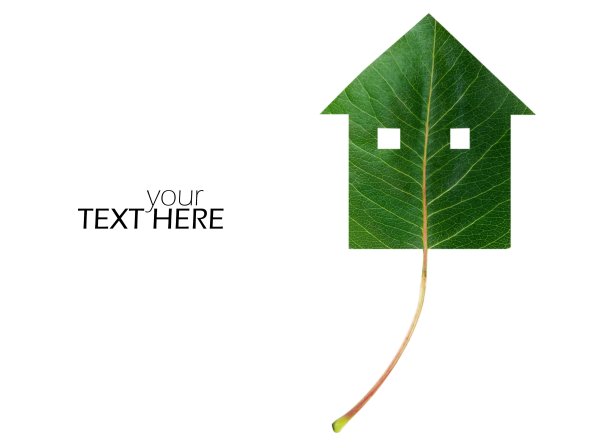 叶屋与复制空间图片下载