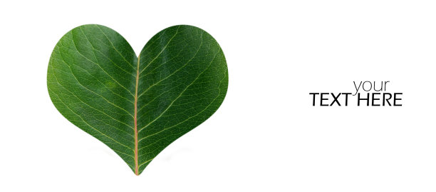 叶心随空间复制图片下载