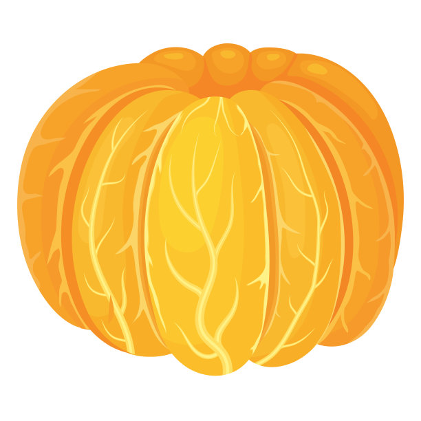 新鲜、明亮、奇异的去皮橘子或柑橘侧面孤立在白色背景上。夏日水果，健康生活方式。有机水果。卡通风格。矢量插图为任何设计。图片下载