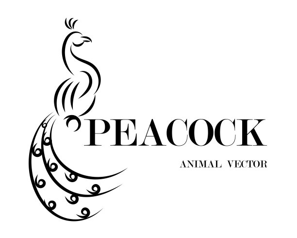 黑色线条艺术矢量插图上的白色背景的孔雀。适合制作商标图片下载