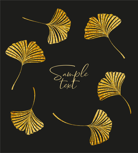 银杏的叶子图片下载