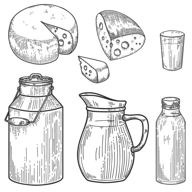 雕刻风格的牛奶瓶、奶酪插图。农业乳制品。设计元素的标签，徽章，标志，徽章。矢量图图片下载