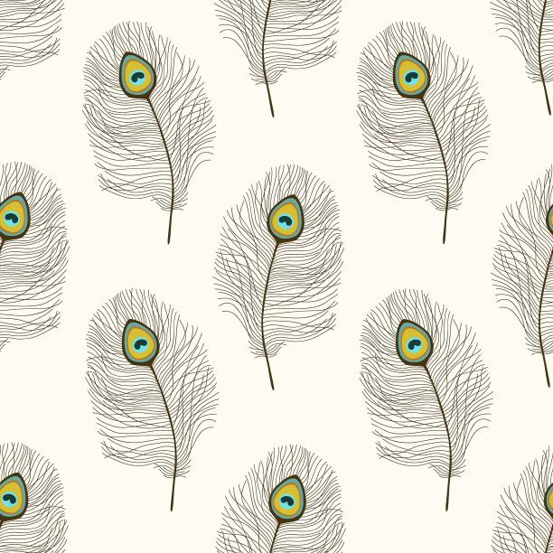 无缝图案与孔雀羽毛图片下载