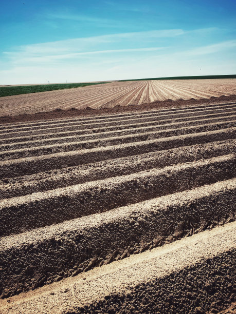 用犁沟犁过的田地图片下载