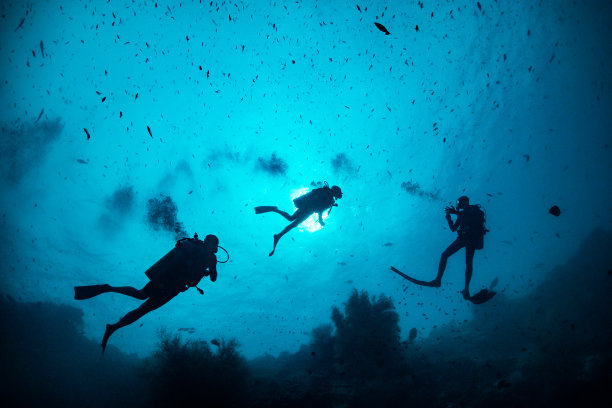 水下潜水员面向水面拍摄剪影图片下载