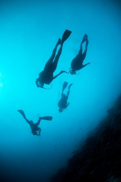 水下潜水员面向水面拍摄剪影图片下载