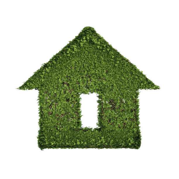 带有叶子的常青藤植物、绿色的攀缘灌木和藤蔓形成能源屋或家园标志，象征孤立在白色的自然中，生长和生态环境概念。3 d树插图。图片下载