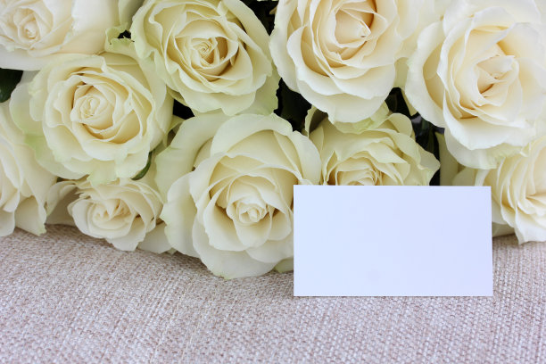 一束优雅的白玫瑰和一张空白卡片。图片下载