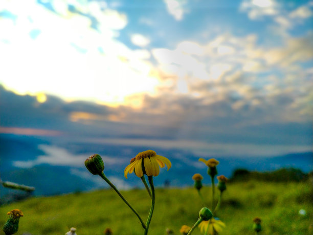 最pu的美图片下载