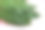 绿色的牛油果叶子在粉红色的背景上图片下载