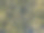 早晨夏天的绿色森林从无人机拍摄照片。夏季温暖阳光森林鸟瞰图。美丽的景观背景概念图片下载