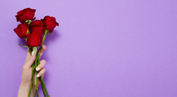 玫瑰在红色背景孤立。俯视图和模拟。母亲和情人节。女人假期。墙纸和浪漫的概念。花玫瑰花束。花的生日礼物。横幅图片下载