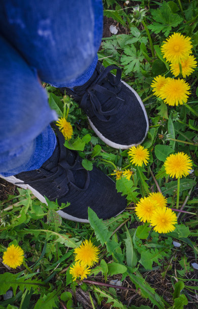 一个人的腿站在草地上，还有一些驼背的人图片下载