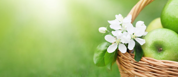 熟透的青苹果放在篮子里图片下载