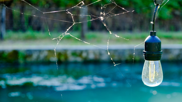 网络使图片下载