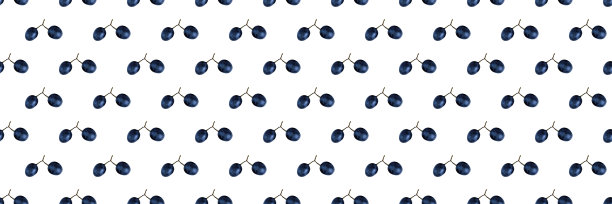 无缝模式的蓝葡萄孤立在白色。食品的背景。图片下载