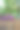 木盆花:矮牵牛花、苋菜花、藿香花、半边莲图片下载