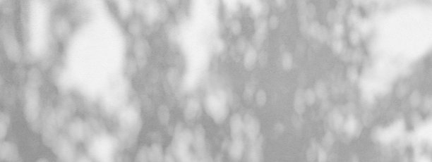 灰泥墙上树叶的影子图片下载