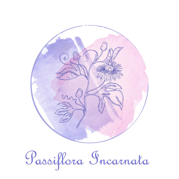 圆形徽章与Maypop植物和水彩斑点图片下载