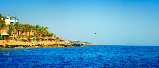 豪华酒店的海滩全景与棕榈树，埃及，沙姆沙伊赫，红海图片下载