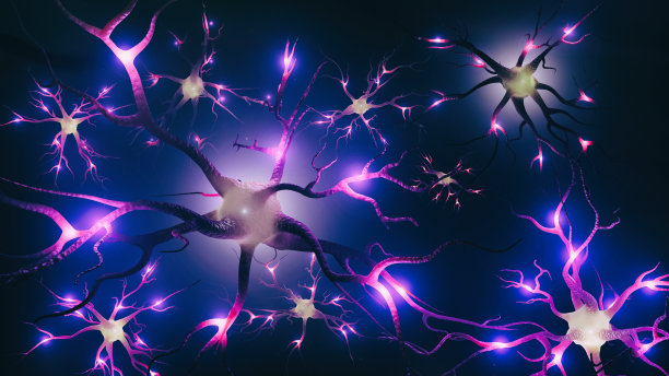 神经元和神经脉冲的闪现图片下载