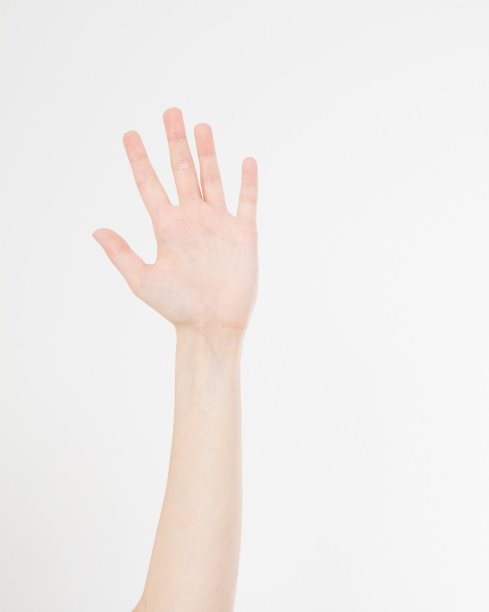 手孤立白色。投票的手。模拟。副本的空间。模板。空白。图片下载