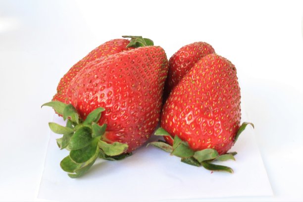 白色背景下的新鲜草莓图片下载