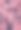 一组紫菀花田野上的柔和和复古色调的背景。图片下载