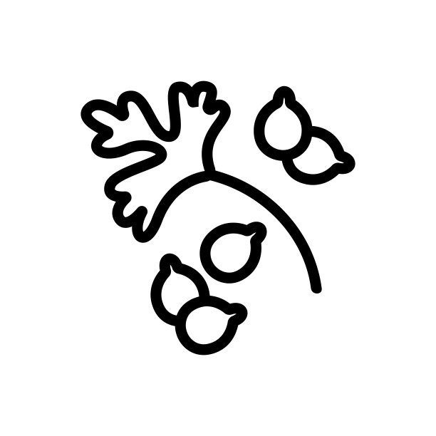 香菜叶和播种种子图标矢量大纲插图图片下载