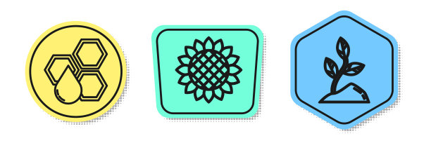 蜂窝线，向日葵线，芽线。颜色的形状。向量图片下载