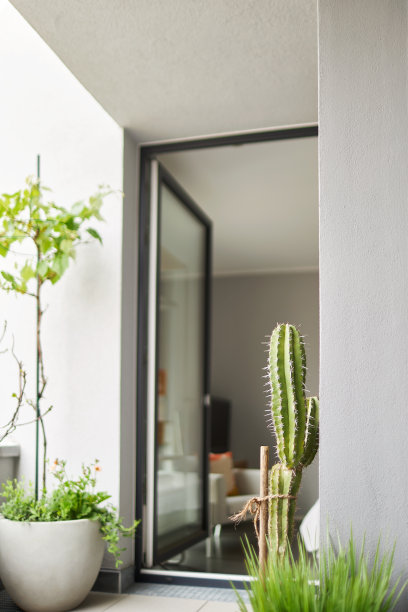 现代城市花园的各种照片，详细的花和花园家具的图片图片下载