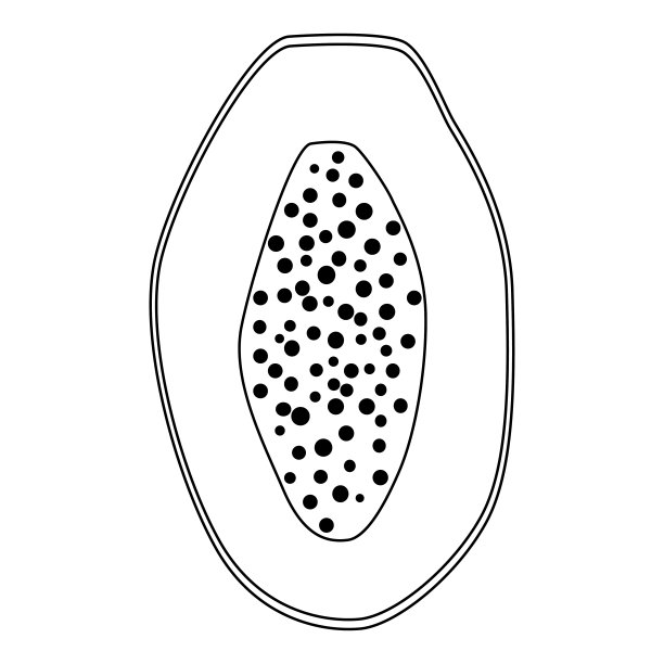 木瓜分离载体插图。健康生活方式设计模式。北欧风格。素食夏天背景。厨房的艺术。新鲜的海报。图片下载