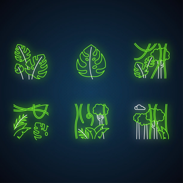 热带雨林植物霓虹灯图标集。常绿森林藤蔓。瑞士奶酪工厂。印尼丛林之旅。巴厘岛的本性。探索热带植物。发光的迹象。向量孤立的插图图片下载