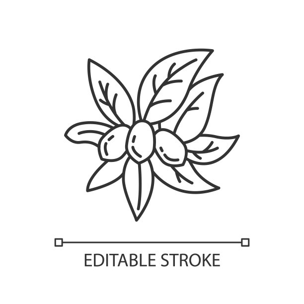 霍霍巴像素完美线性图标。奇迹的水果。长叶的巴西水果。植物学。细线可定制的插图。轮廓的象征。矢量孤立轮廓绘制。可编辑的中风图片下载