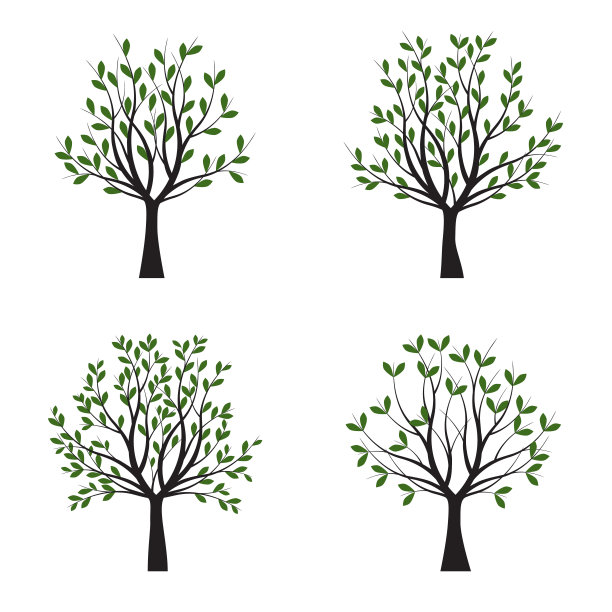 让绿色的树有叶子。矢量插图轮廓。轮廓树，植物在花园里。图片下载