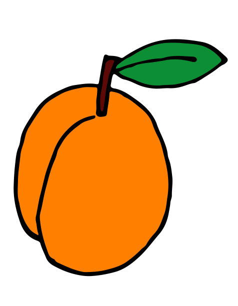 杏孤立向量图标。果在枝上与叶。橘杏标志图片下载