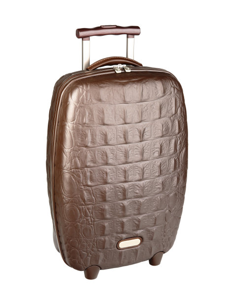 棕色爬行动物皮皮革旅行箱孤立在白色图片下载