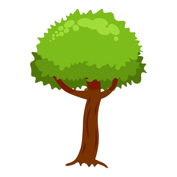 公园植物孤立在白色背景。绿色的树，灌木和草。矢量插图在卡通简单的平面风格。图片下载