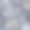 时尚无缝图案与巴洛克洛可可边框元素与动物皮斑马纹纹理混合图片下载