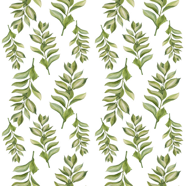无缝图案水彩手绘绿枝肉质扎米库尔卡叶植物孤立在白色背景艺术创作自然。包装或纺织图片下载
