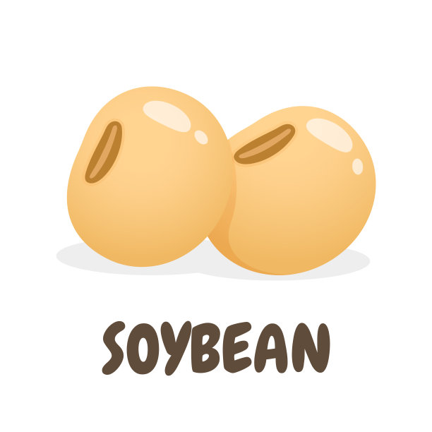 新鲜大豆向量。全大豆种子用于制作健康豆浆。孤立在白色背景上。图片下载