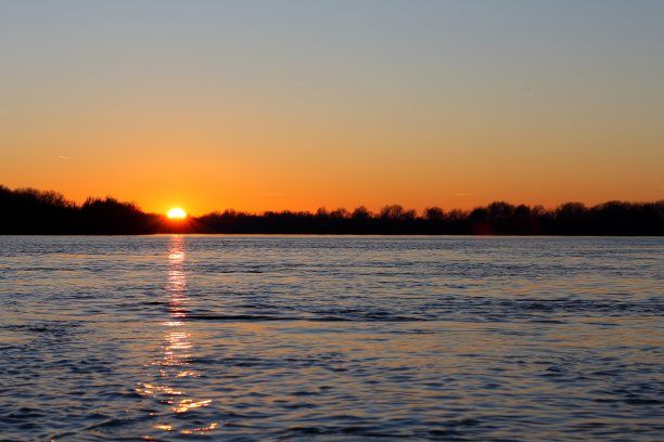 冬季多瑙河上的日落。冬季多瑙河岸边的枯树。图片下载