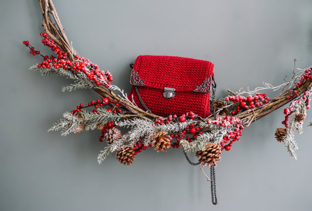 红色小女士包和带锥形的圣诞冷杉枝图片下载